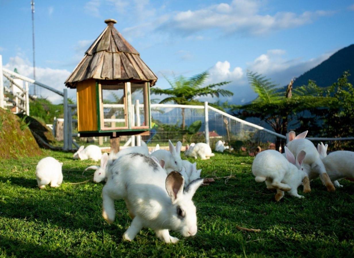 O Chau Homestay Lao Cai Exterior photo
